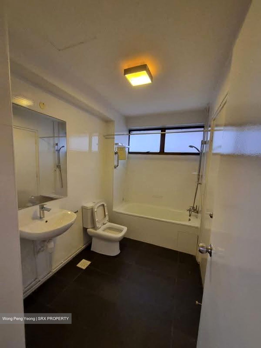 The Cairnhill (D9), Condominium #618069251